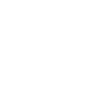 Efico